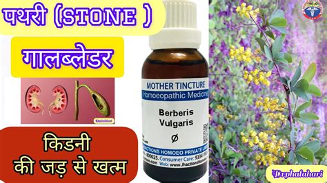 how long to take berberis for kidney stones